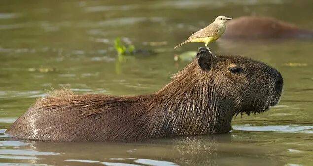 情绪经济的背后是经济情绪J9国际集团范昕宇教授：(图4)