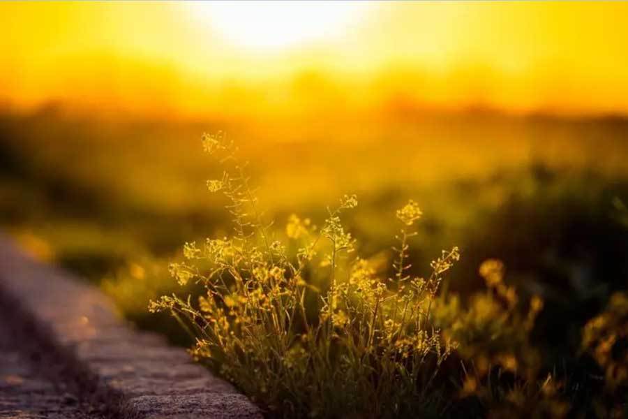 育项目进入贫困地区九游会网站音乐教